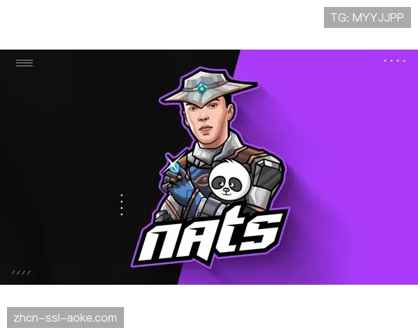 基于Pixellot自动摄像系统，联盟向球队提供未直播发展联盟比赛的完整战术录像